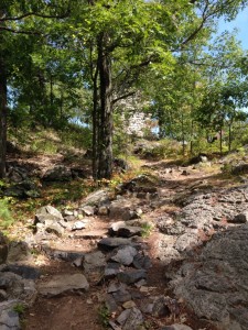 Trail up to Wright's Tower